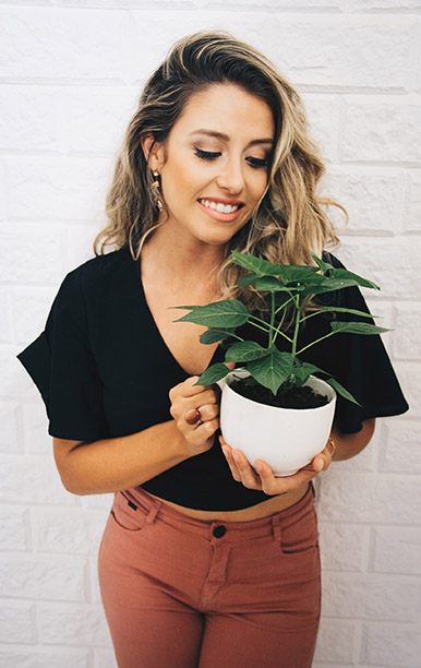 Mountains in the Clouds